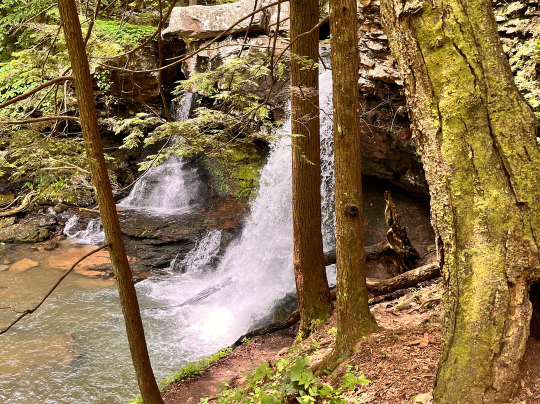Cloudland Canyon State Park-Rising Fawn必去景点