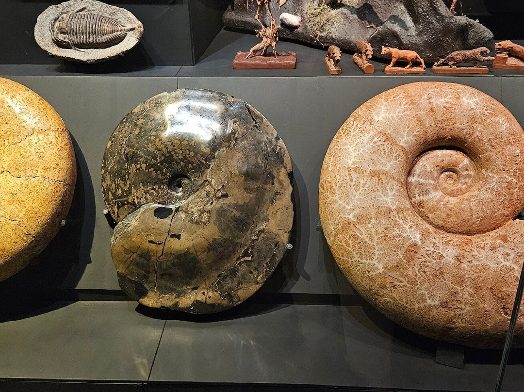 Museo La Milarca-圣佩德罗加尔萨加西亚镇必去景点