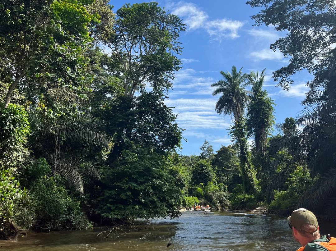 Camp Help Congo-Conkouati-Douli National Park必去景点