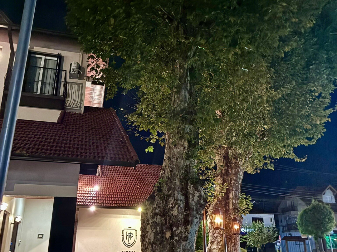 彼得罗波利斯酒店主图