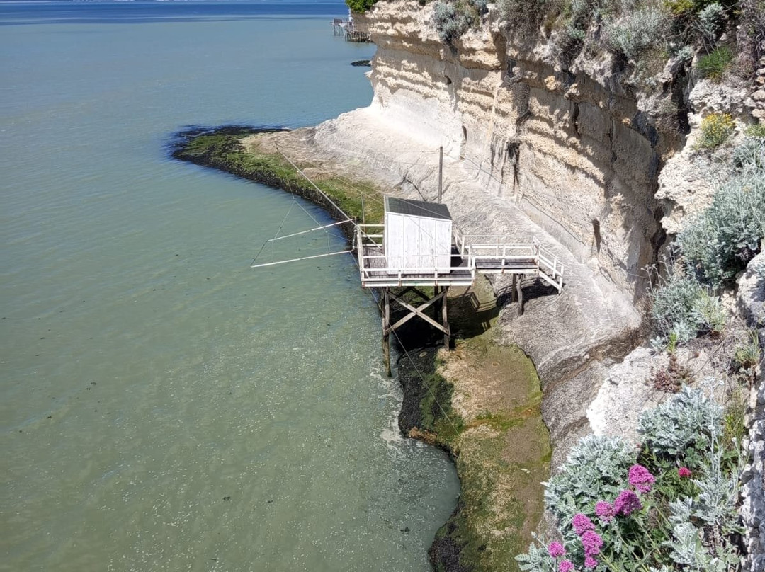 Grottes du Régulus-Meschers-sur-Gironde必去景点