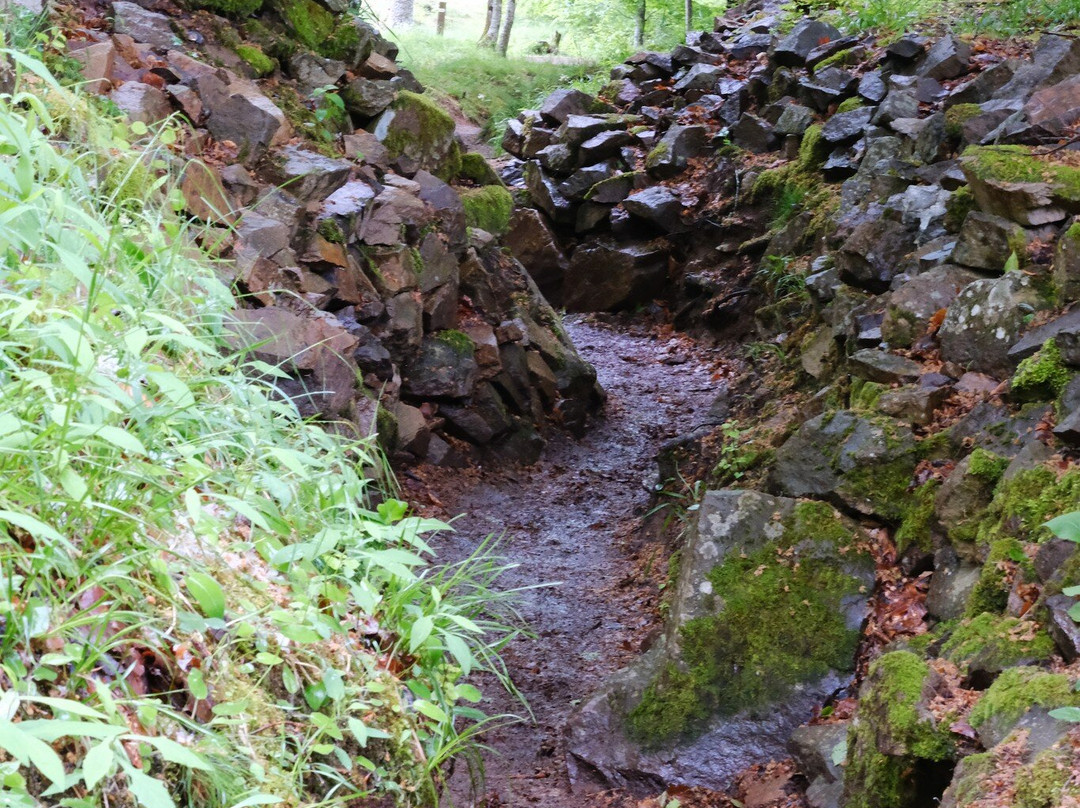 Historial franco-allemand du Hartmannswillerkopf-Wattwiller必去景点
