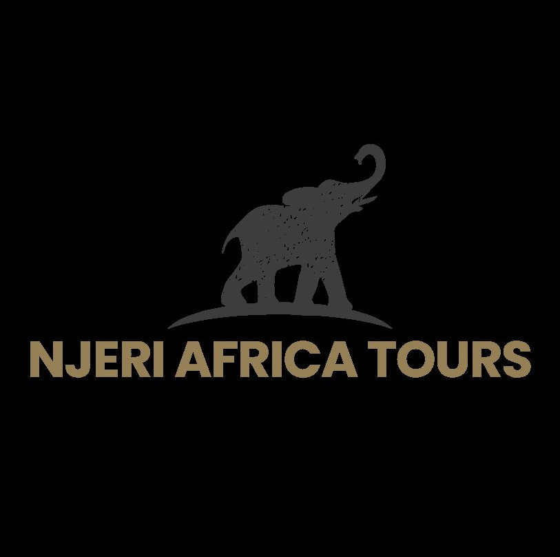 Njeri Africa Tours-Muizenberg必去景点