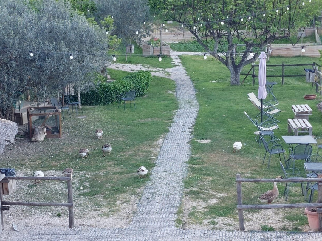 Agriturismo Etico le Grazie主图