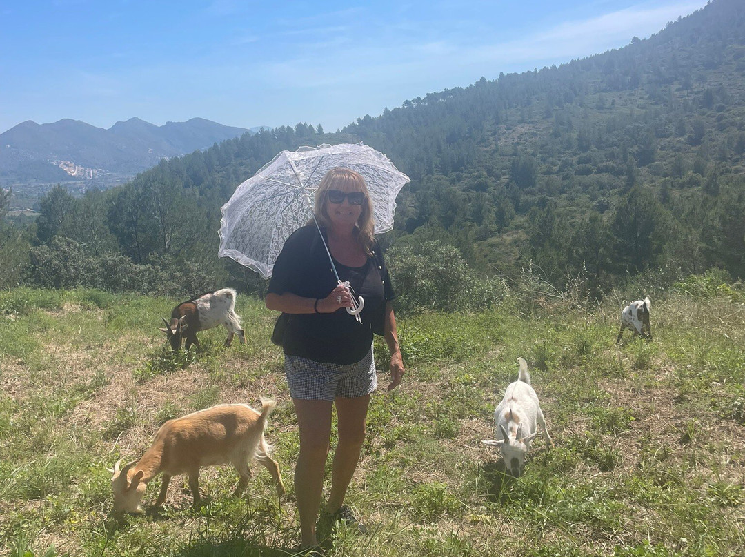 Euro Goat Trekkers-Tarbena必去景点
