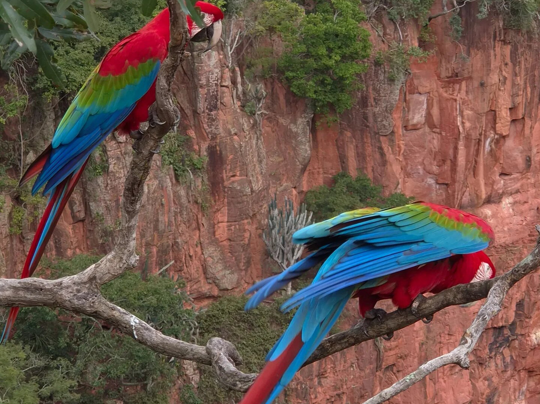 Buraco das Araras Ecoturismo-雅尔丁必去景点