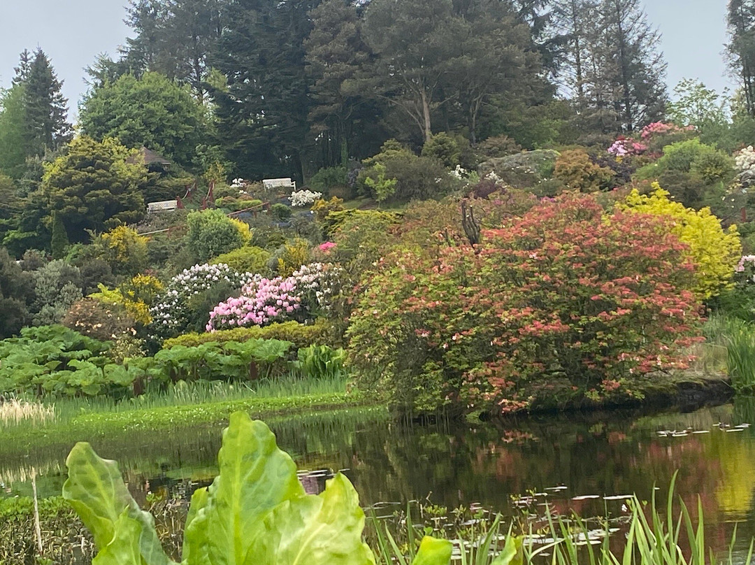 Glenwhan Gardens-Dunragit必去景点