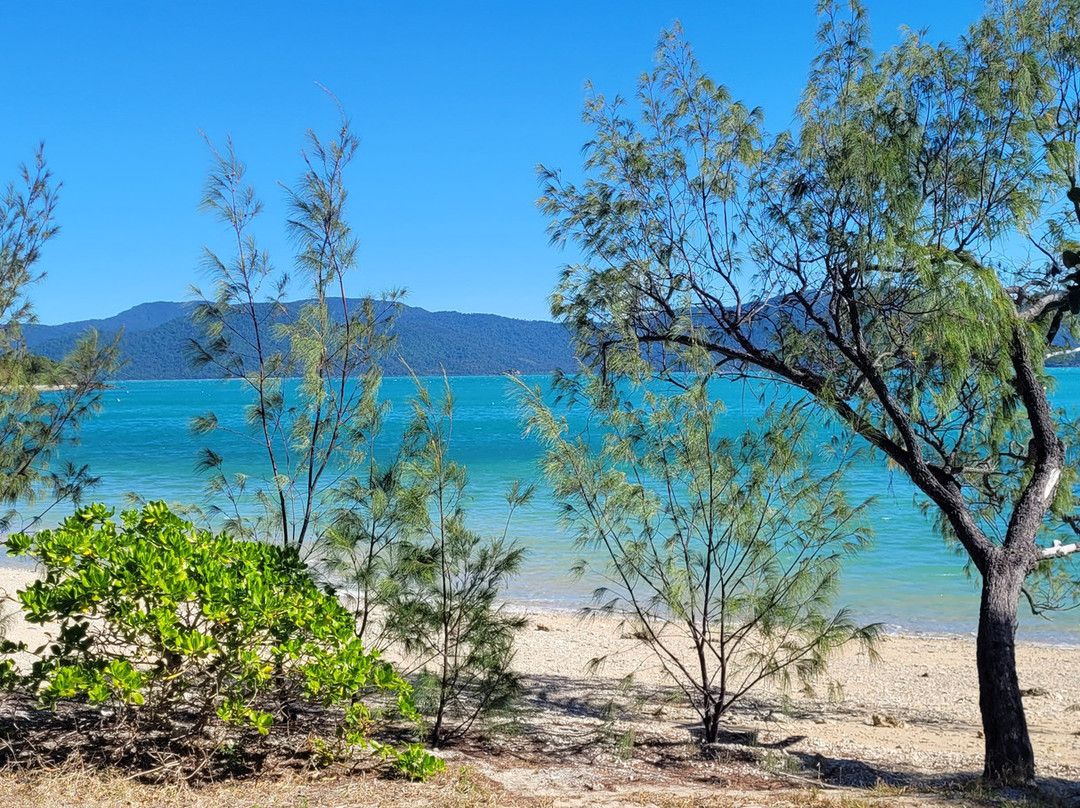 Scamper Island Camping-舒特港必去景点