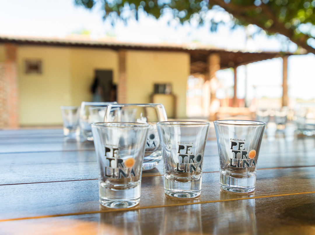 Cachaça Petrolina - Destilaria e Passeio-Petrolina必去景点