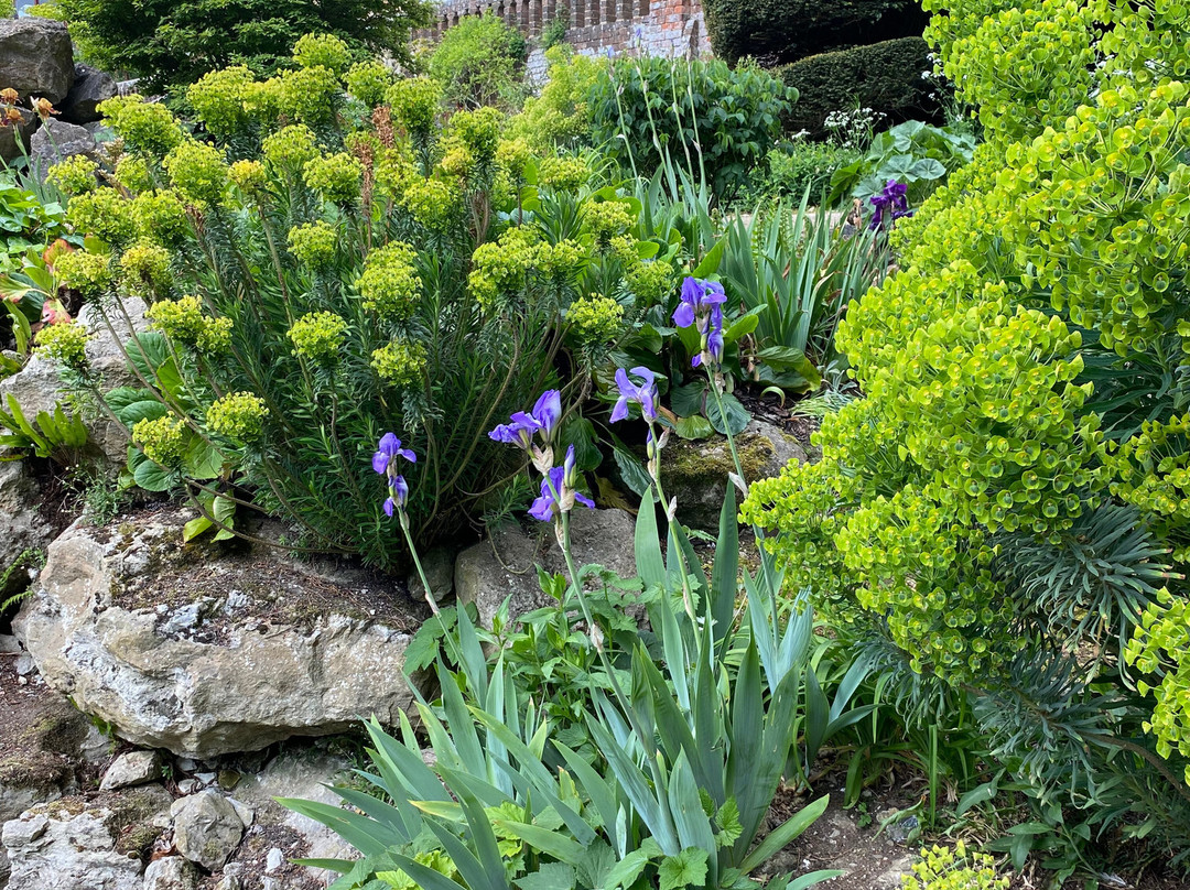 Doddington Place Gardens-Doddington必去景点