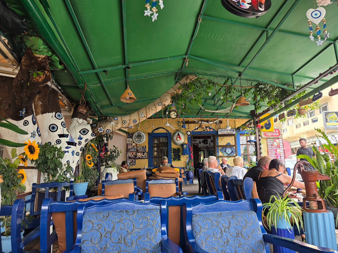 Cin's Corner