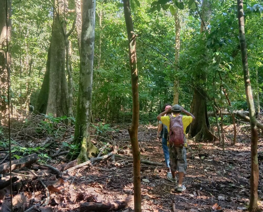 Ujung Kulon Tourism-Carita必去景点