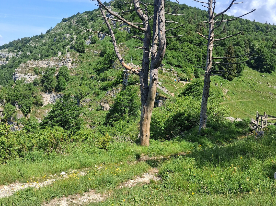 Giro delle Malghe di Caltrano-阿夏戈必去景点