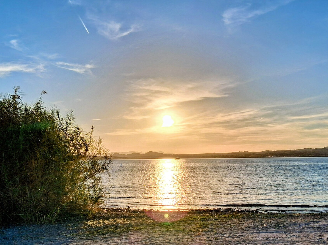 Lake Havasu State Park-哈瓦苏湖城必去景点