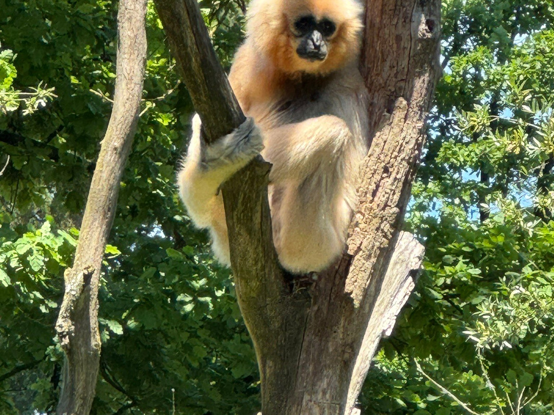 Zoo Ljubljana-卢布尔雅那必去景点