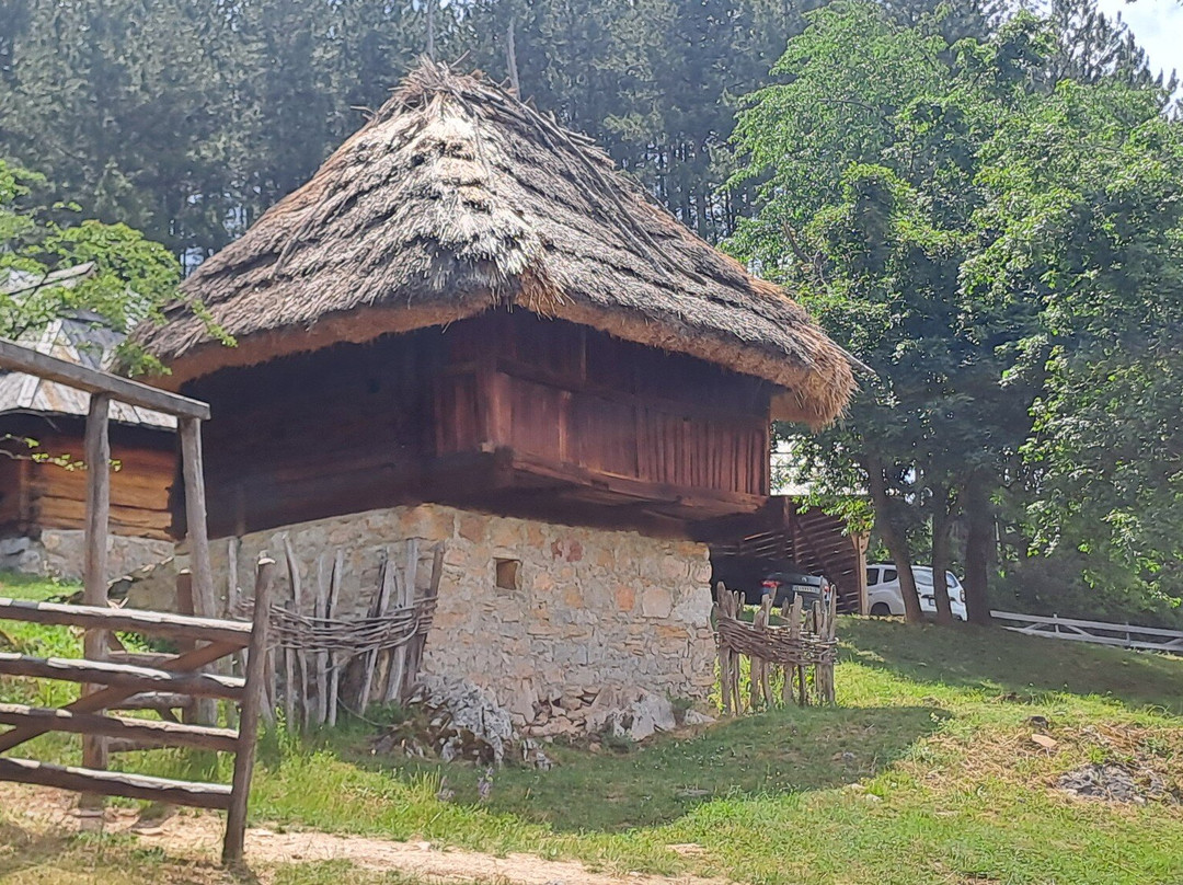 Sirogojno-兹拉蒂博尔必去景点