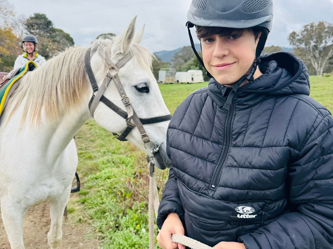 Watson's Mountain Country Trail Rides - Day Tours-曼斯菲尔德必去景点
