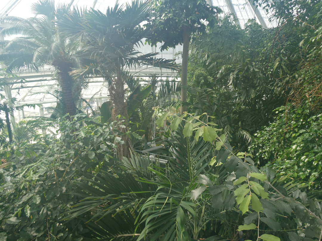 Botanical Garden-哥本哈根必去景点
