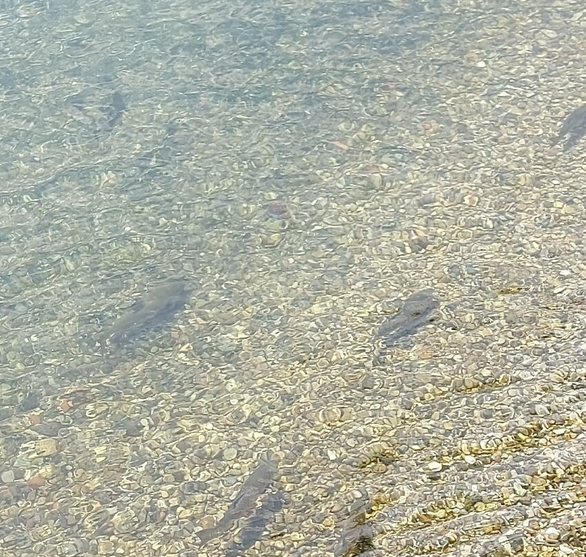 Lungolago Di Lecco-莱科必去景点
