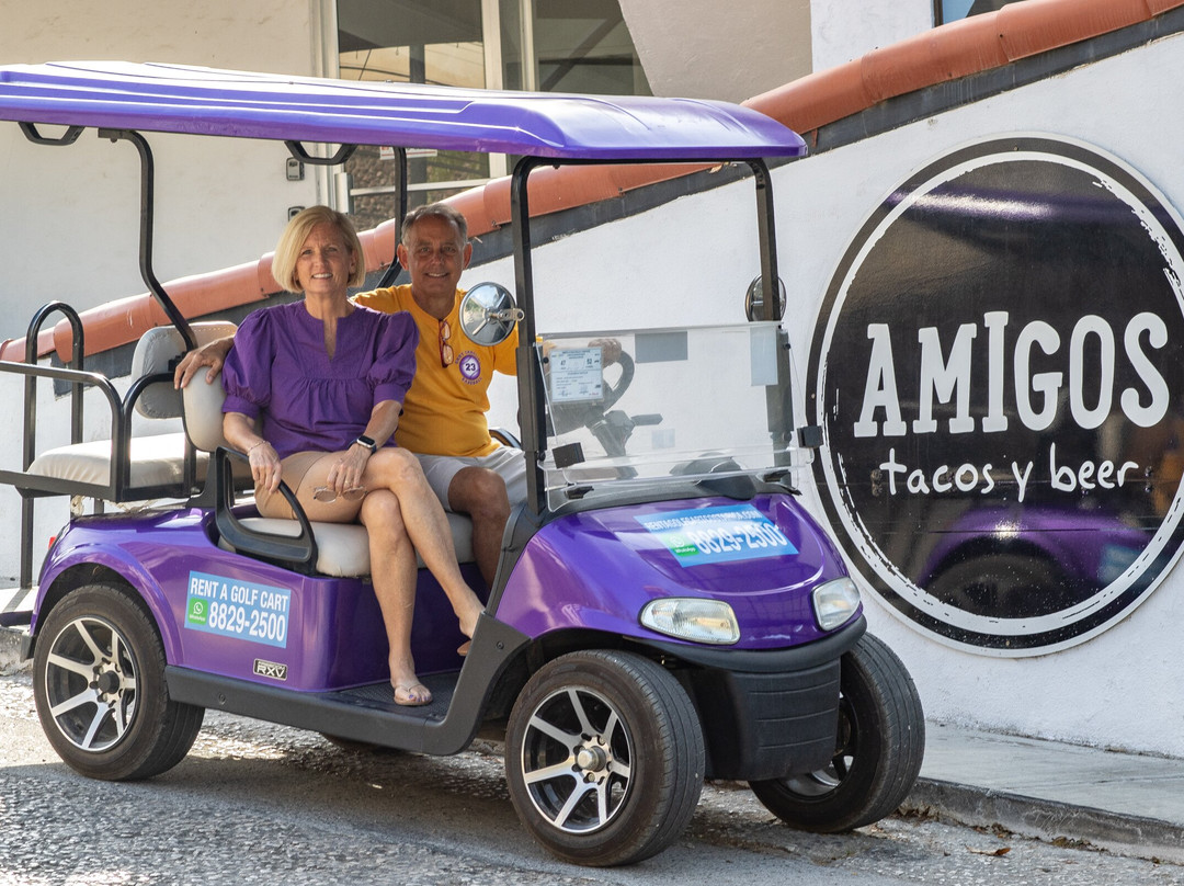 Rent a Golf Cart Costa Rica-波特雷罗必去景点