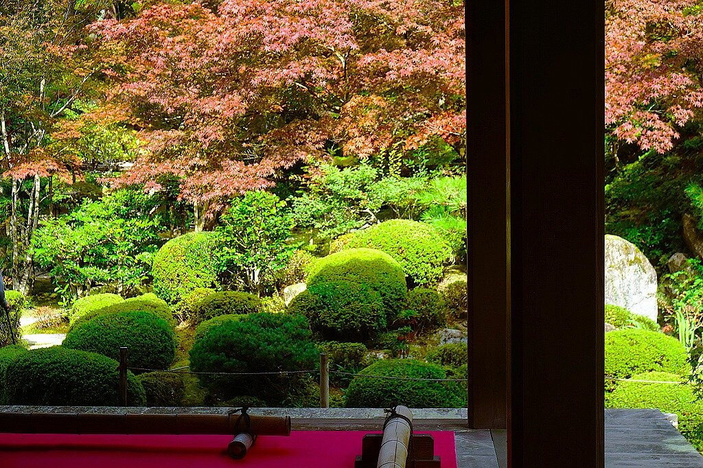 Kongorin-ji Temple Myojyuin Garden-爱庄町必去景点