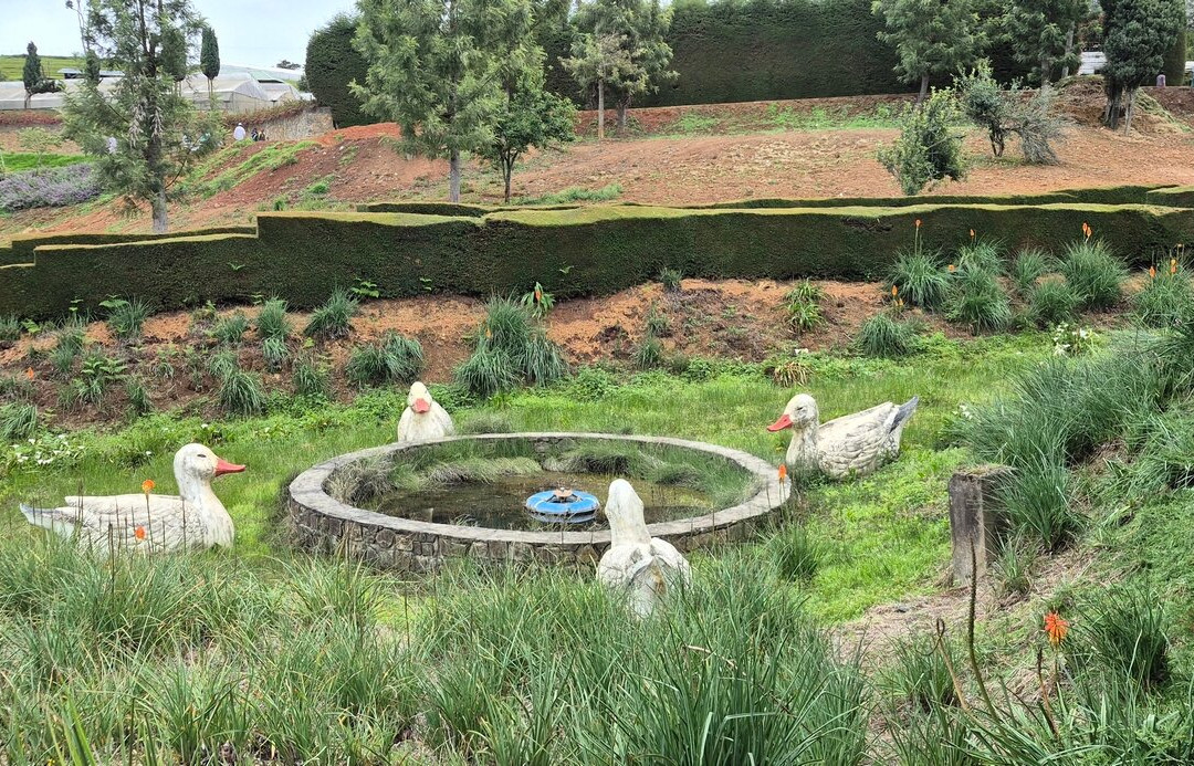 Karnataka Siri Horticulture Garden-乌提必去景点