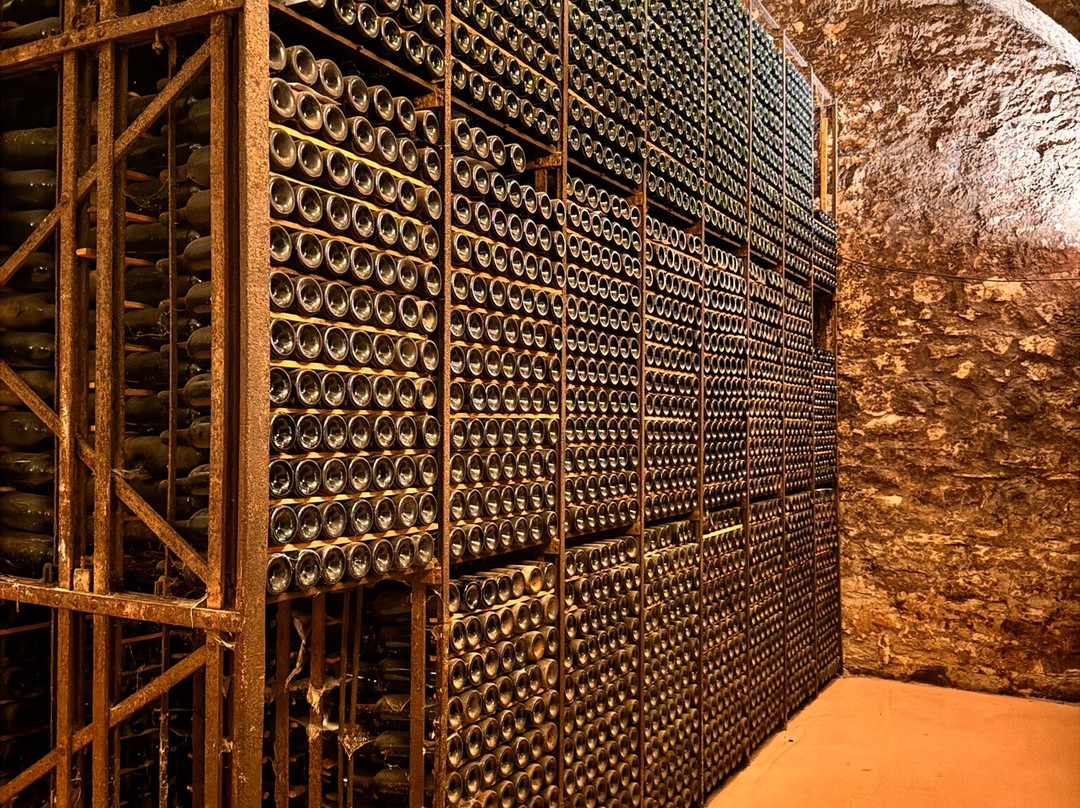 Bodegas Franco Espanolas-洛格罗尼奥必去景点