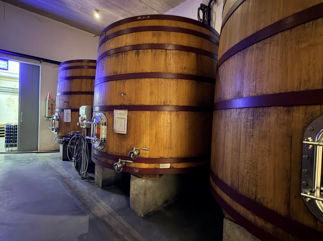 Domaine de Beaurenard-教皇新堡必去景点