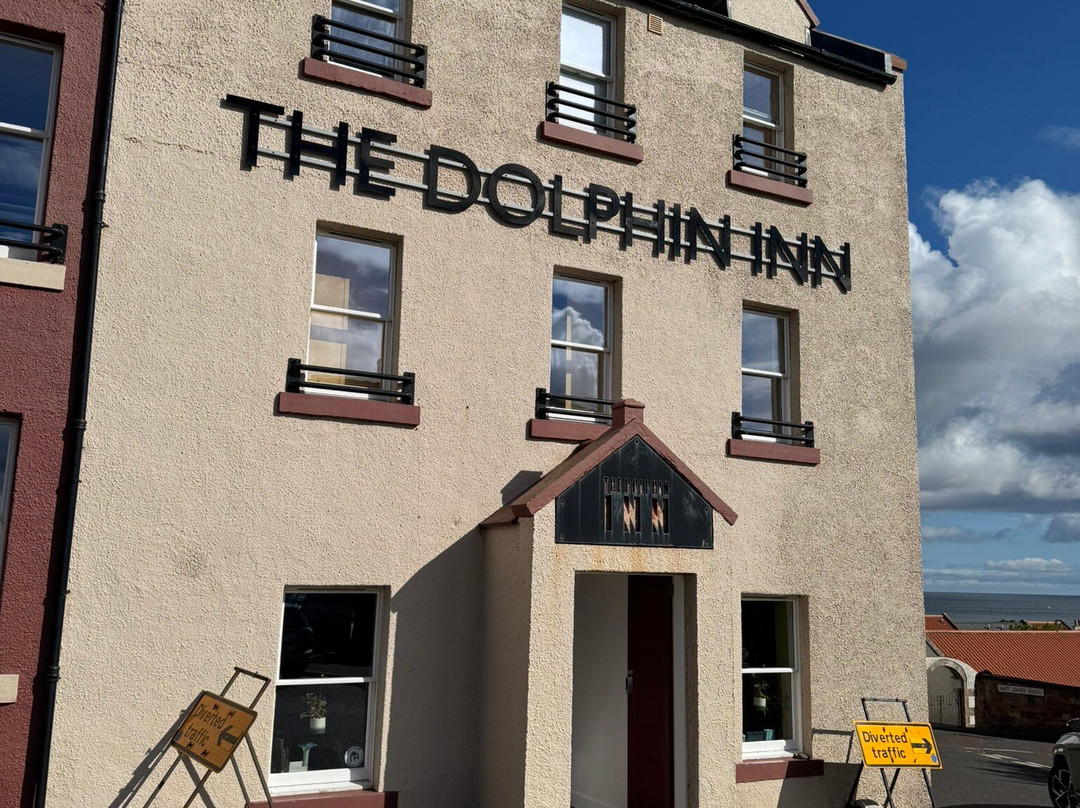 The Dolphin Inn Hostel主图