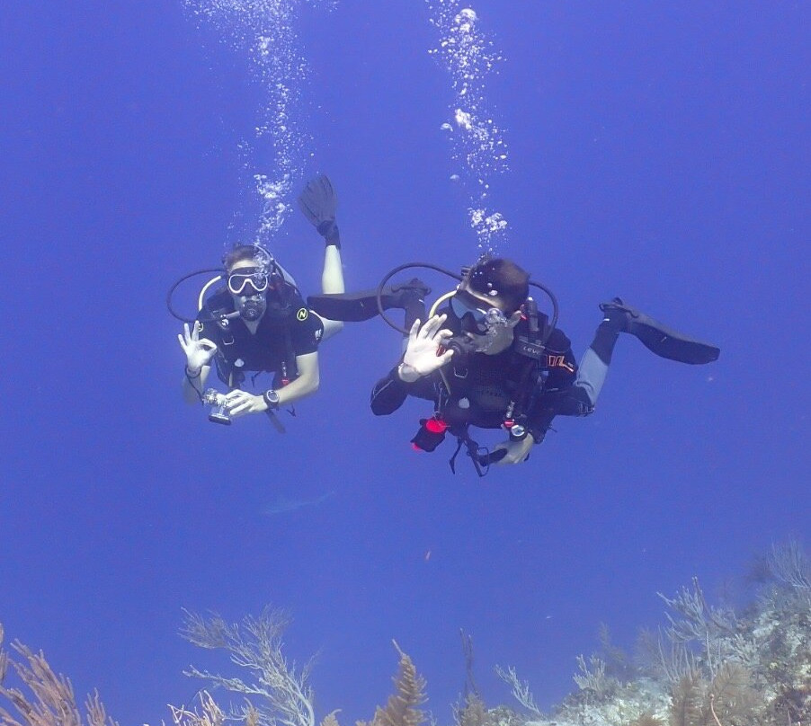 Only Blue Diving Dreams-Cockburn Town必去景点