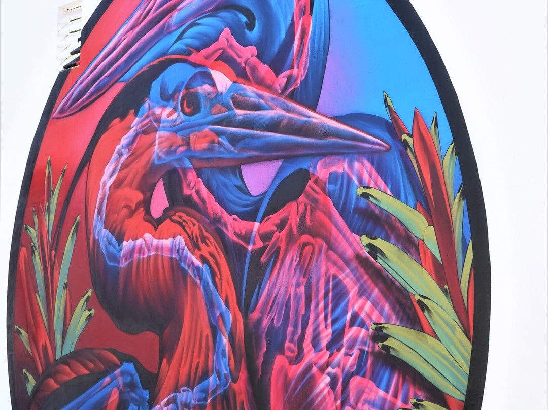 Street Murals By Aruba Art Fair-San Nicolas必去景点