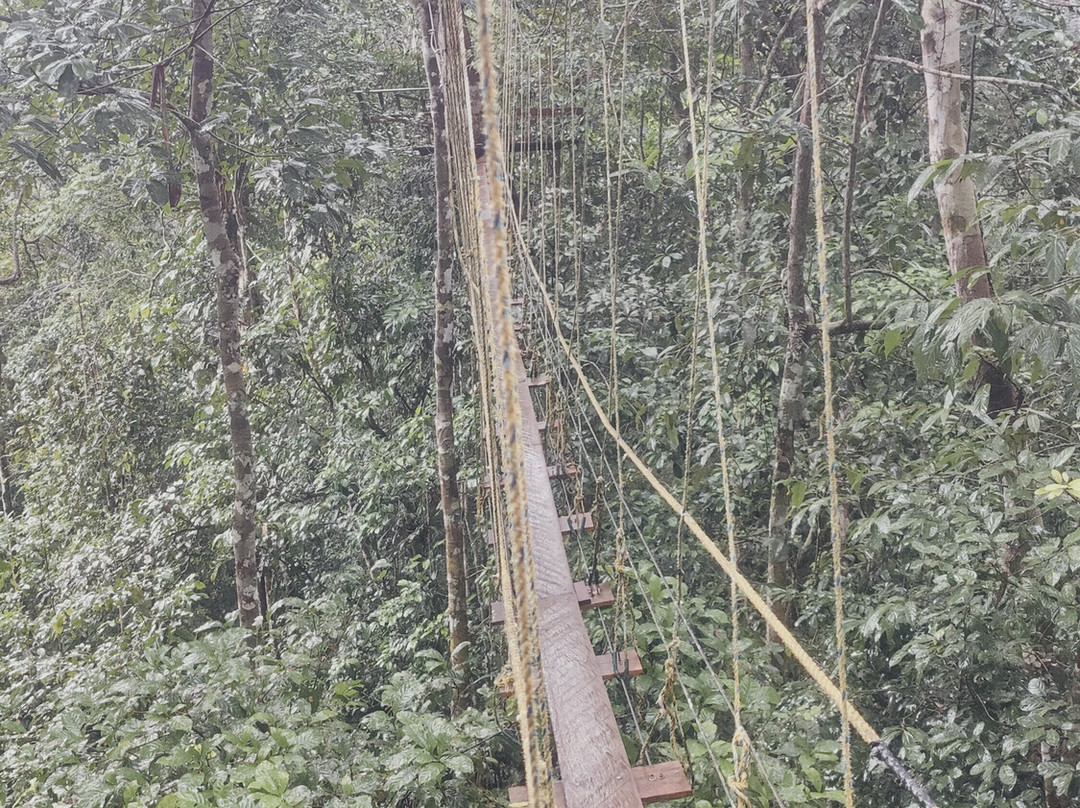 Amazon Maguta Jungle Lodge-莱蒂西亚必去景点
