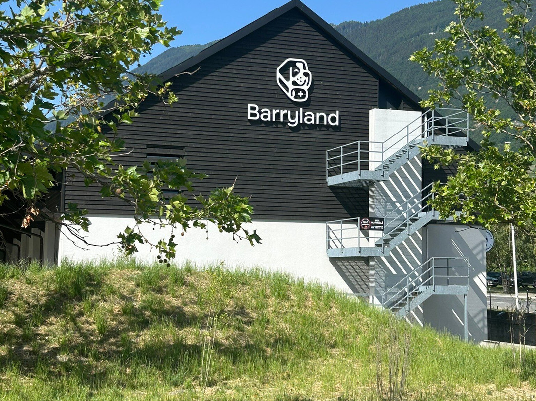 Barryland - Musée et chiens du St-Bernard-马蒂尼必去景点
