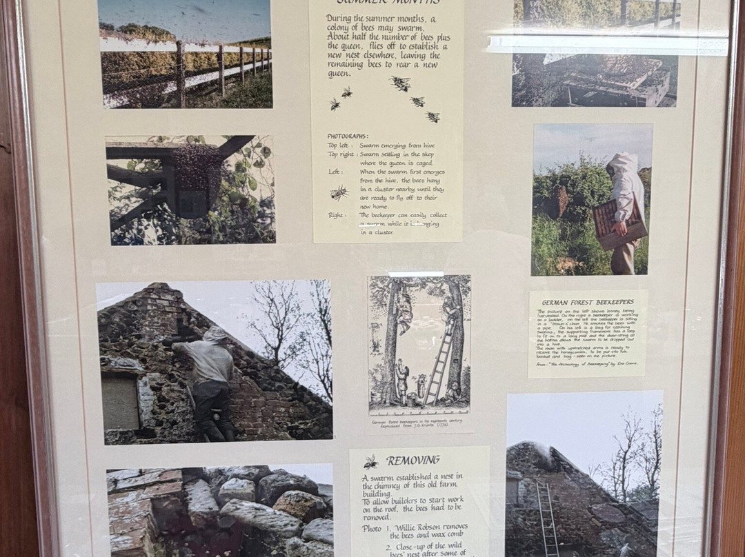 Chain Bridge Honey Farm-特威德河畔贝里克必去景点
