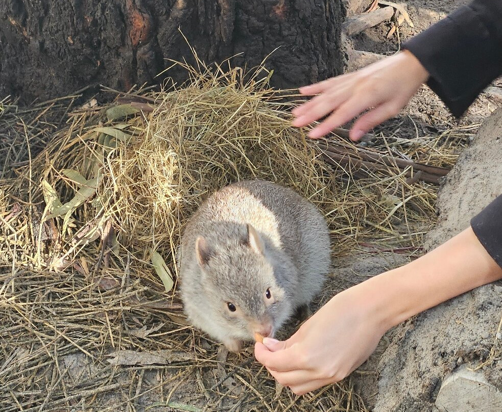 Softfoot Farm & Wildlife Park-Hindmarsh Valley必去景点