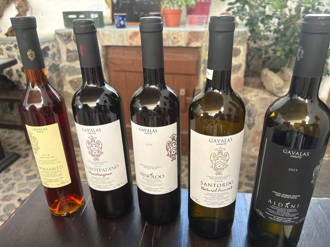 Gavalas Winery-梅加洛克豪略翁必去景点