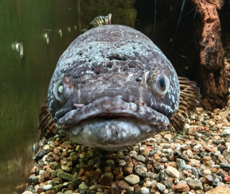 Rostock Zoo-罗斯托克必去景点