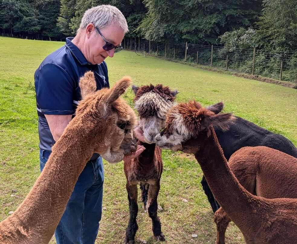 Alpacaly Ever After-Portinscale必去景点