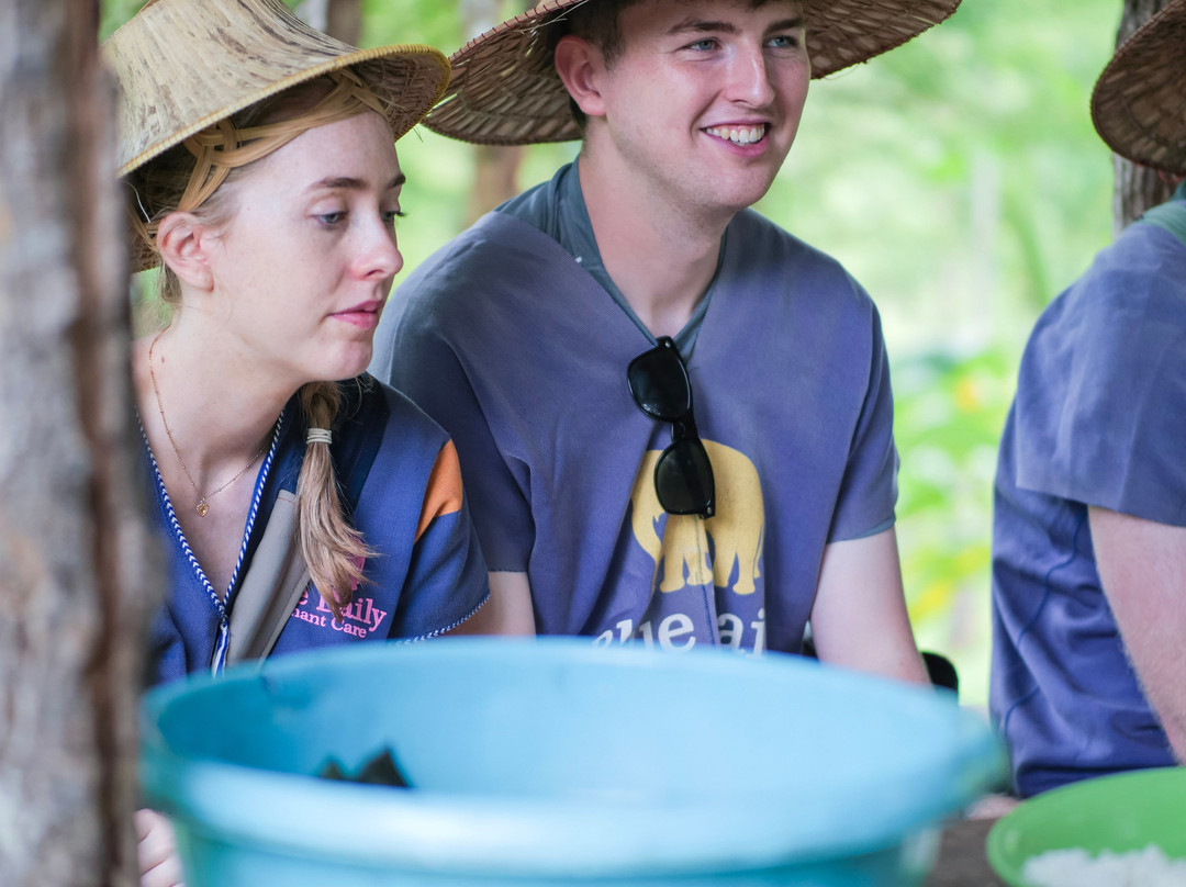 Blue Daily Elephant Care Sanctuary-清迈必去景点