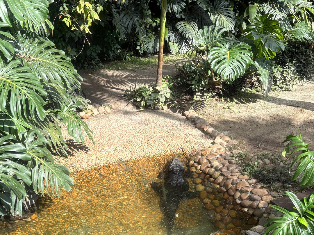 Zoologico De Sao Paulo-圣保罗必去景点