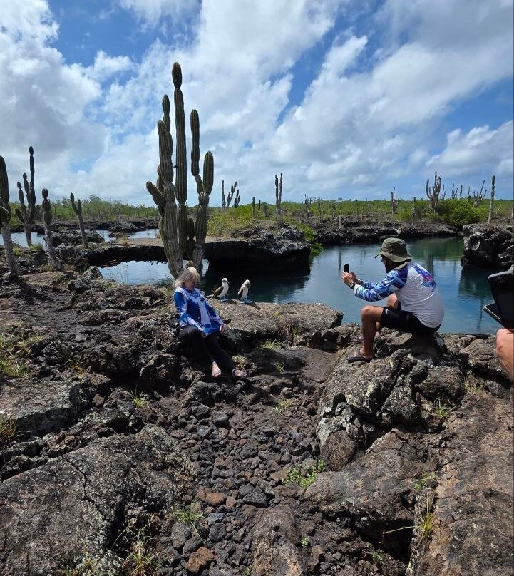 Los Tuneles-维里亚米尔港必去景点