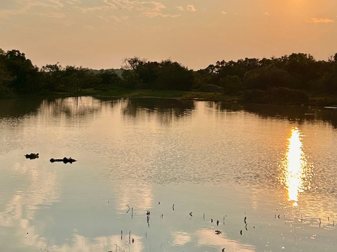Schotia Safaris Private Game Reserve-伊丽莎白港必去景点