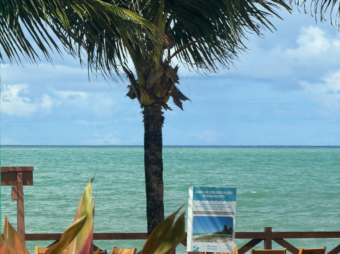 Maceió Mar Resort All Inclusive主图