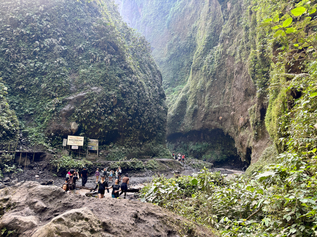 Tumpak Sewu Waterfall-Lumajang必去景点