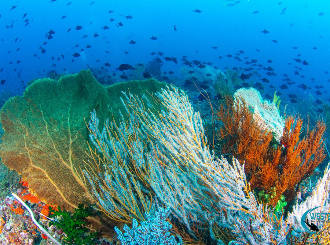 West Bali Diving And Snorkeling-Sumberkima必去景点