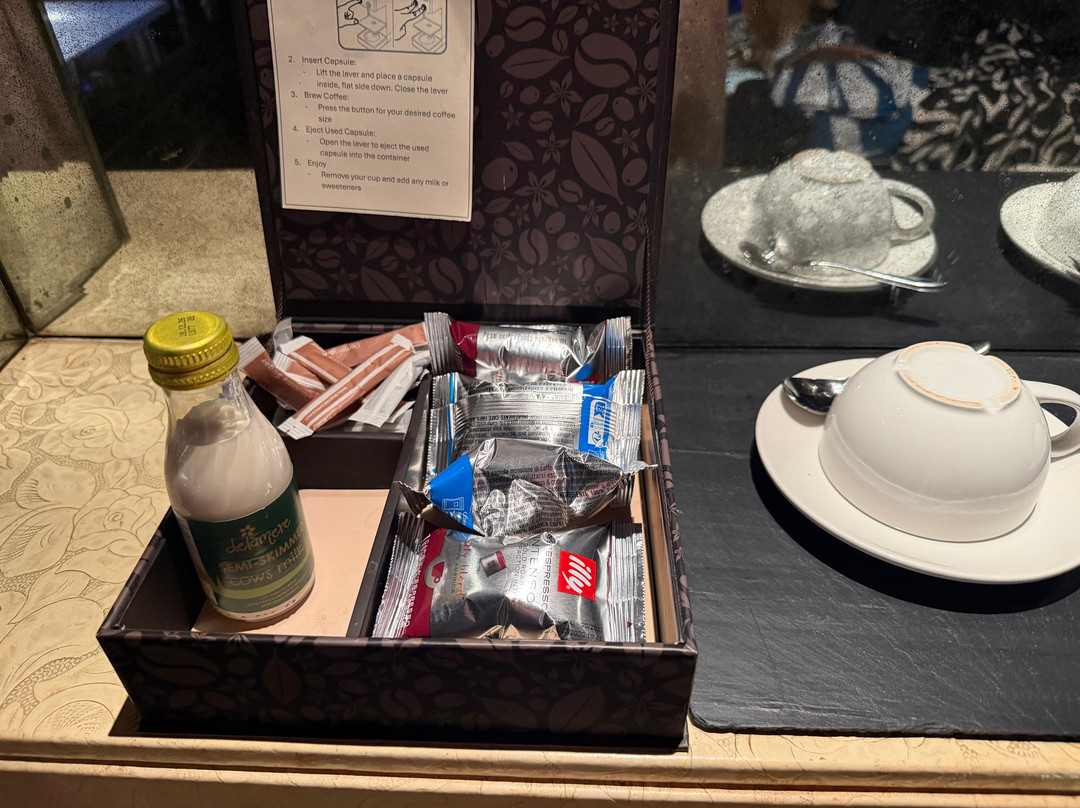 斯塔德汉普顿疯狂的熊酒店主图