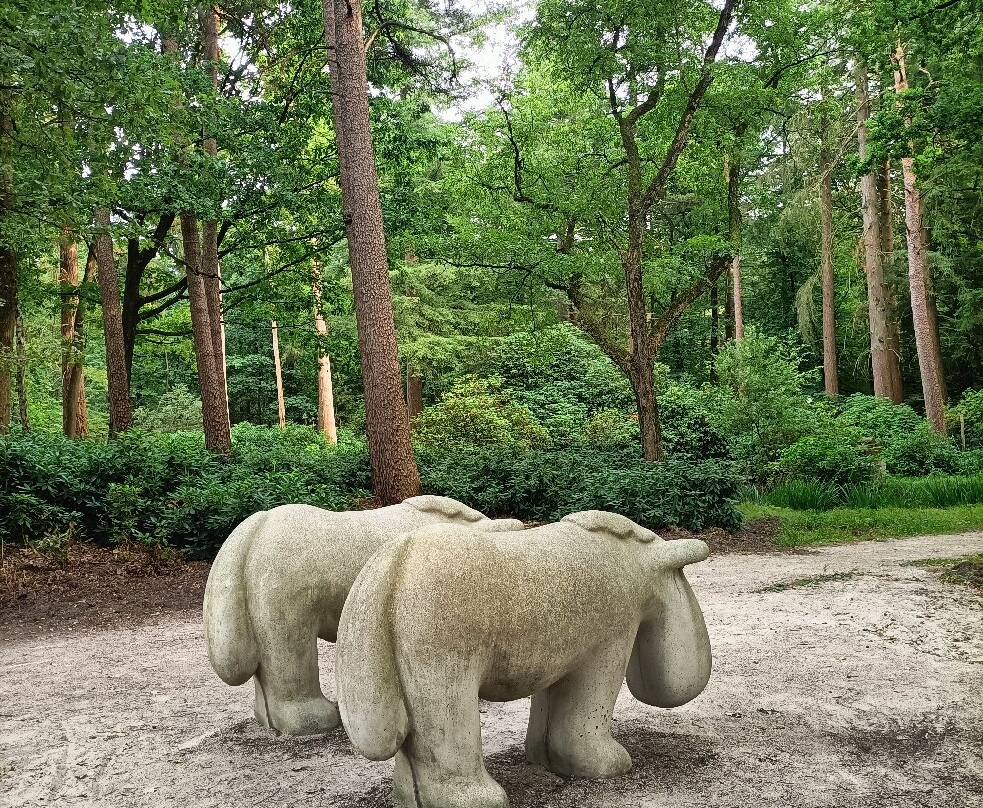 Nationale Park Hoge Veluwe-奥特洛必去景点