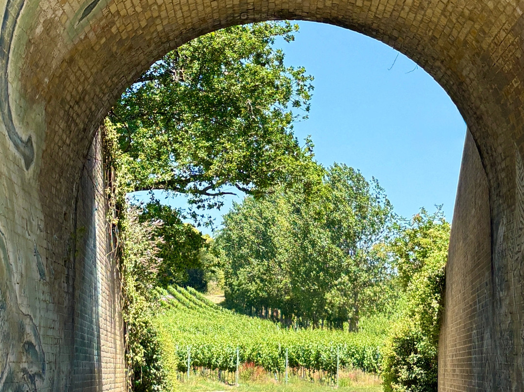 Wildshark Vineyard-Harrietsham必去景点