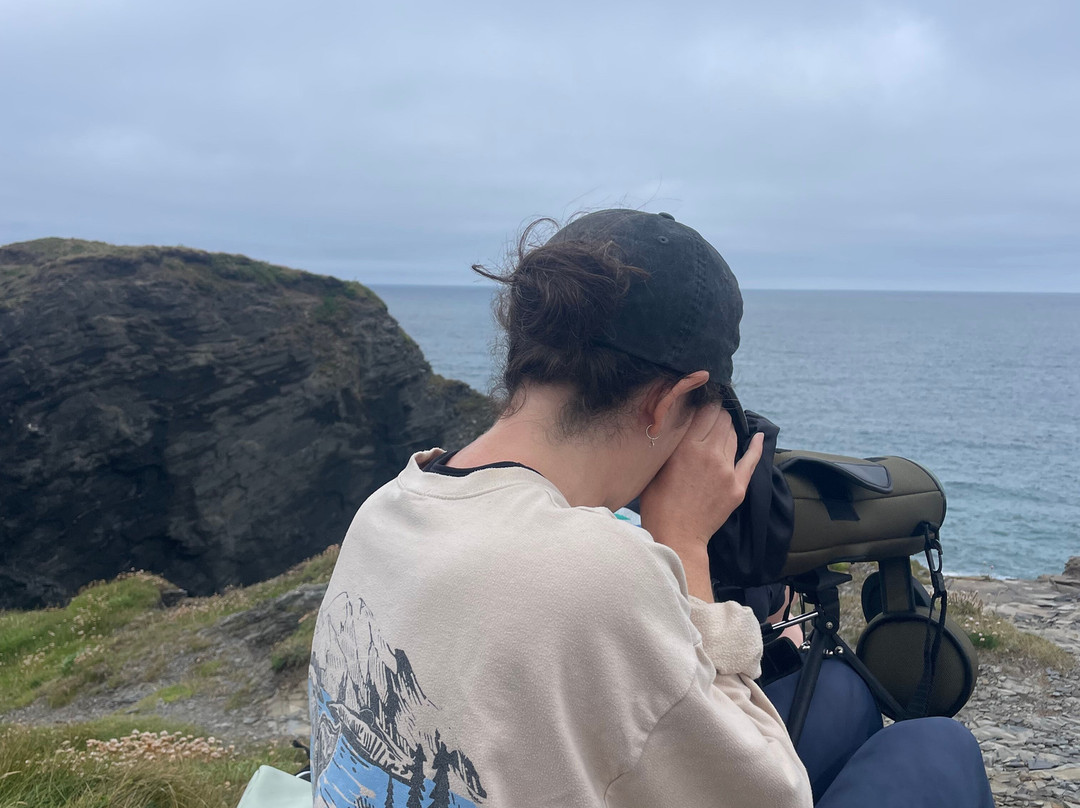 Selkie Adventures-Porth必去景点