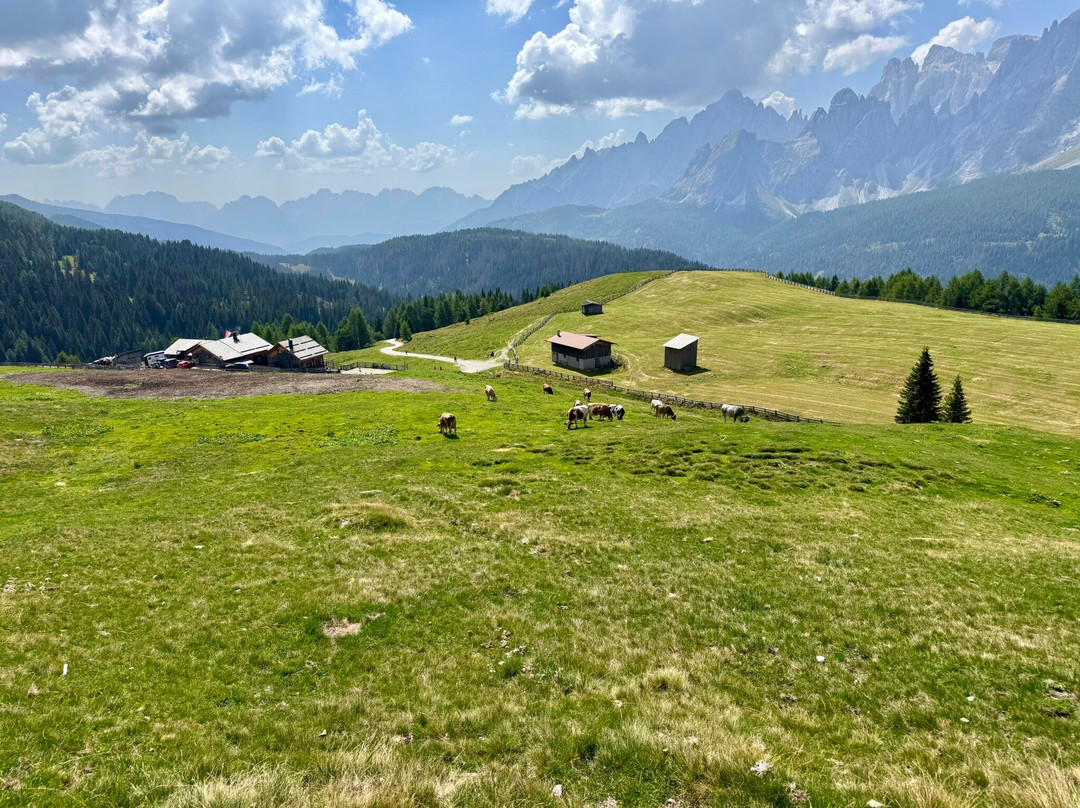 Klammbachalm